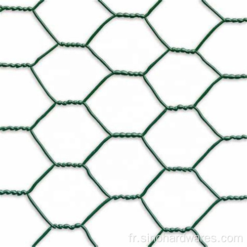 Poulet Hexagonal Wire Mesh roule